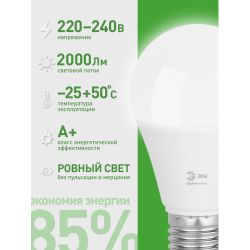Лампа светодиодная ЭРА GREEN LINE LED A60-20W-840-E27 GL 20Вт груша яркий белый свет E27 | Лампы cветодиодные Груша (A)