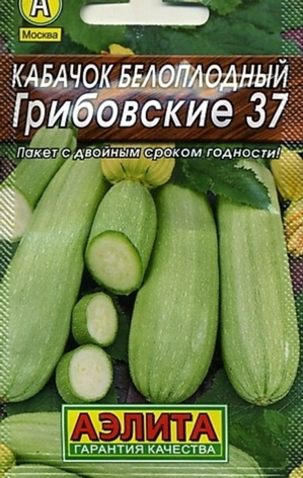 Кабачок Грибовские 37