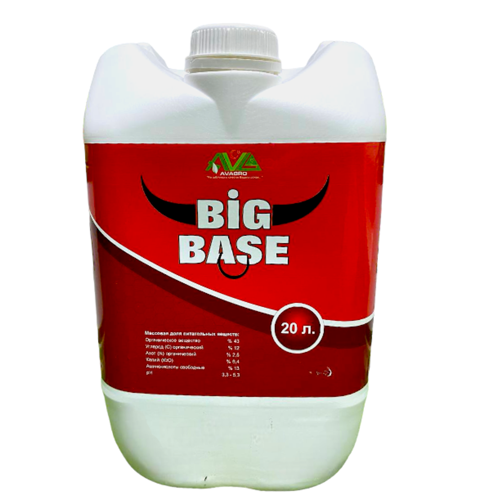 Big Base 20л