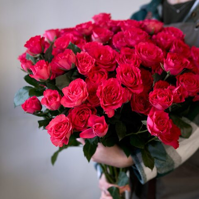 Кустовая роза садовая (малиновая)