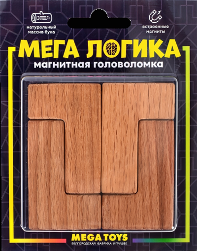 Магнитная головоломка по системе раннего развития Никитина 15963 (Лидер)