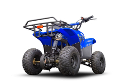 Квадроцикл TIGER 150 Universal RX