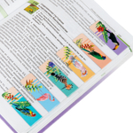 Закладки для книг МАГНИТНЫЕ "TROPICS" набор 12 шт. 60x20 мм BRAUBERG (4 штуки в упаковке)