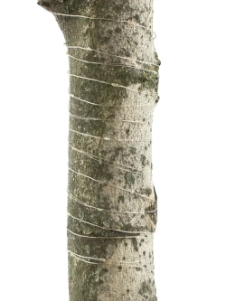 Гирлянда роса уличная СТАРТ для сада на солнечной батарее RGB