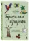 Бразилия изнутри. Как на самом деле живут в жаркой стране карнавалов?