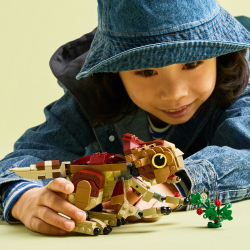 LEGO Jurassic World - Детеныш динозавра Долорес: аквилопс 76970