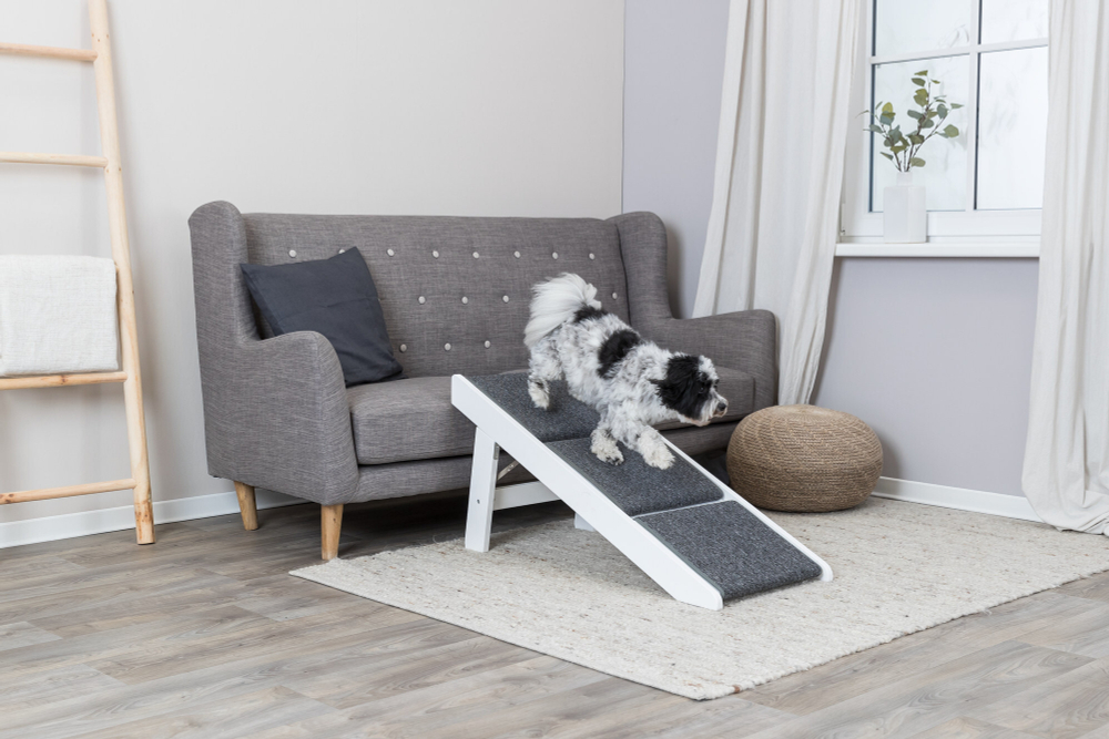 Лесенка со складными ступенями, 44х46х106см, МДФ/ковролин, белый, Trixie