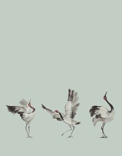 Crush Motion панно