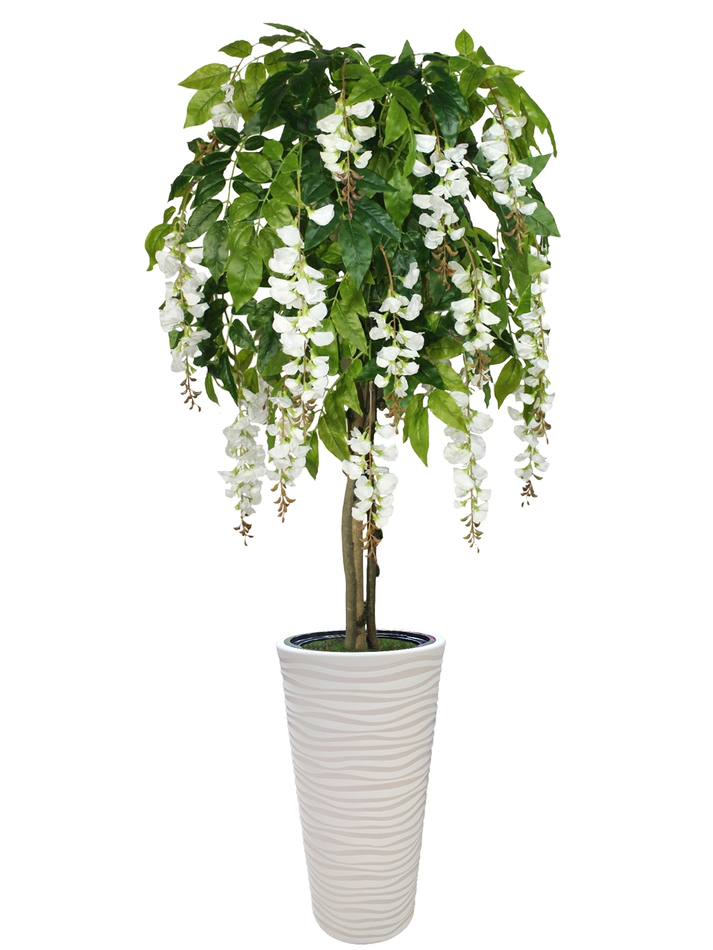 Искусственное дерево Акация белая 170 см в высоком круглом белом кашпо