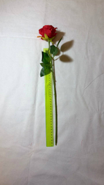 45 см Розы красные