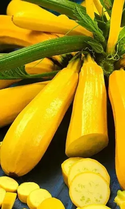 Кабачок Ананасный (Симбиоз) 10шт УрДачник