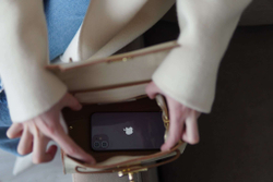 СУМКА Италия Le Borsette 85840