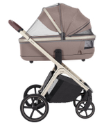 Коляска 2 в 1 Carrello Vector CRL-6550