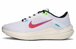 Кроссовки Nike Air Winflo 10 Se