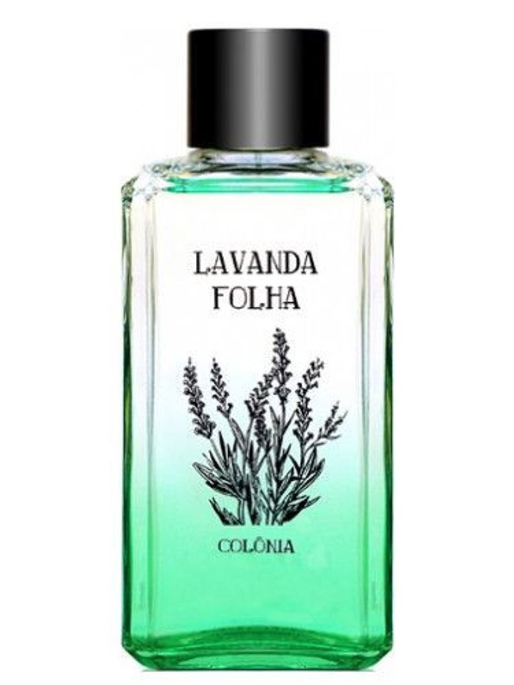 Phebo Lavanda Folha