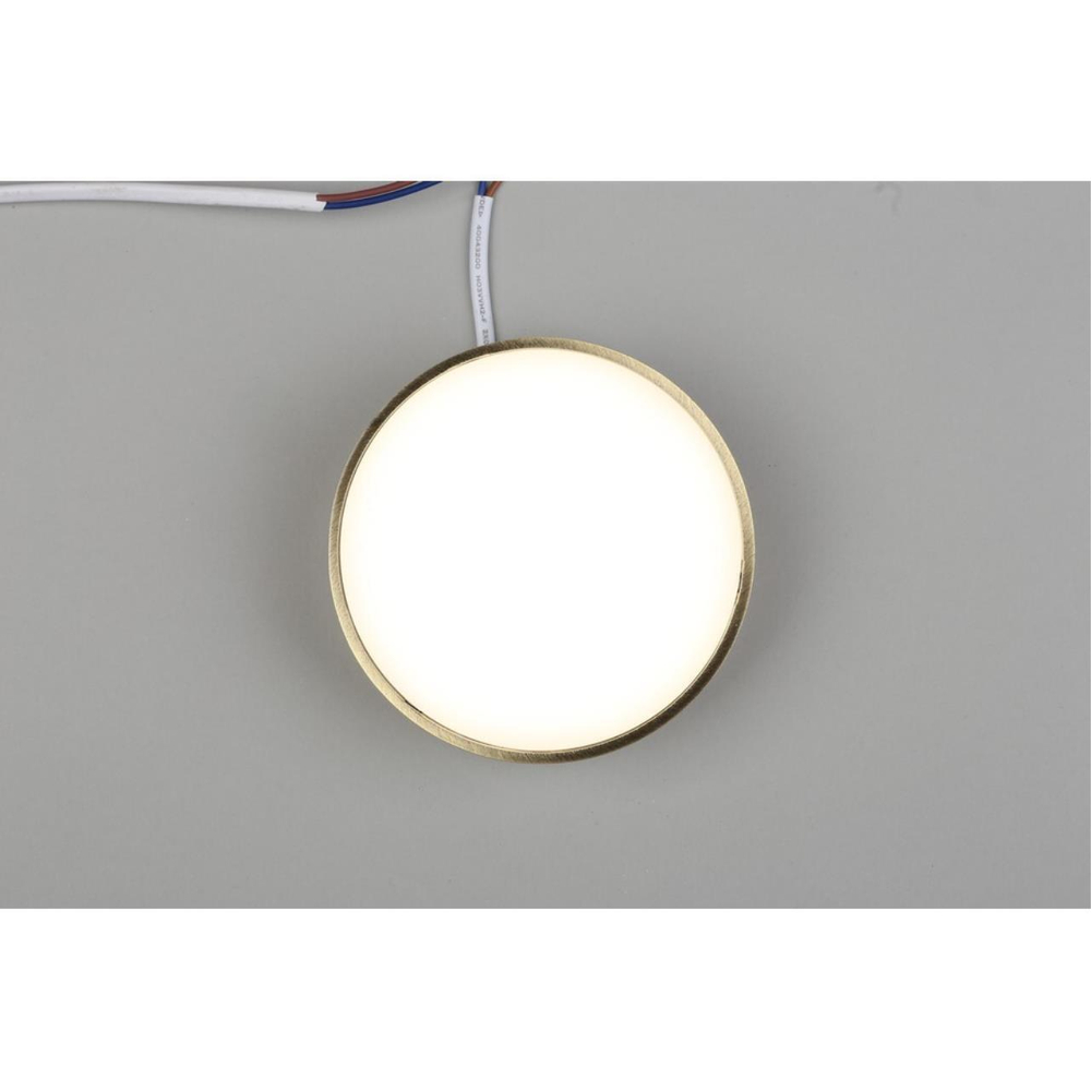 Потолочный светодиодный светильник Aployt Evon APL.0114.29.12