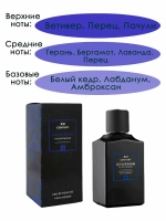 Туалетная вода для мужчин "GOURMAN №8" с феромонами 100мл Россия