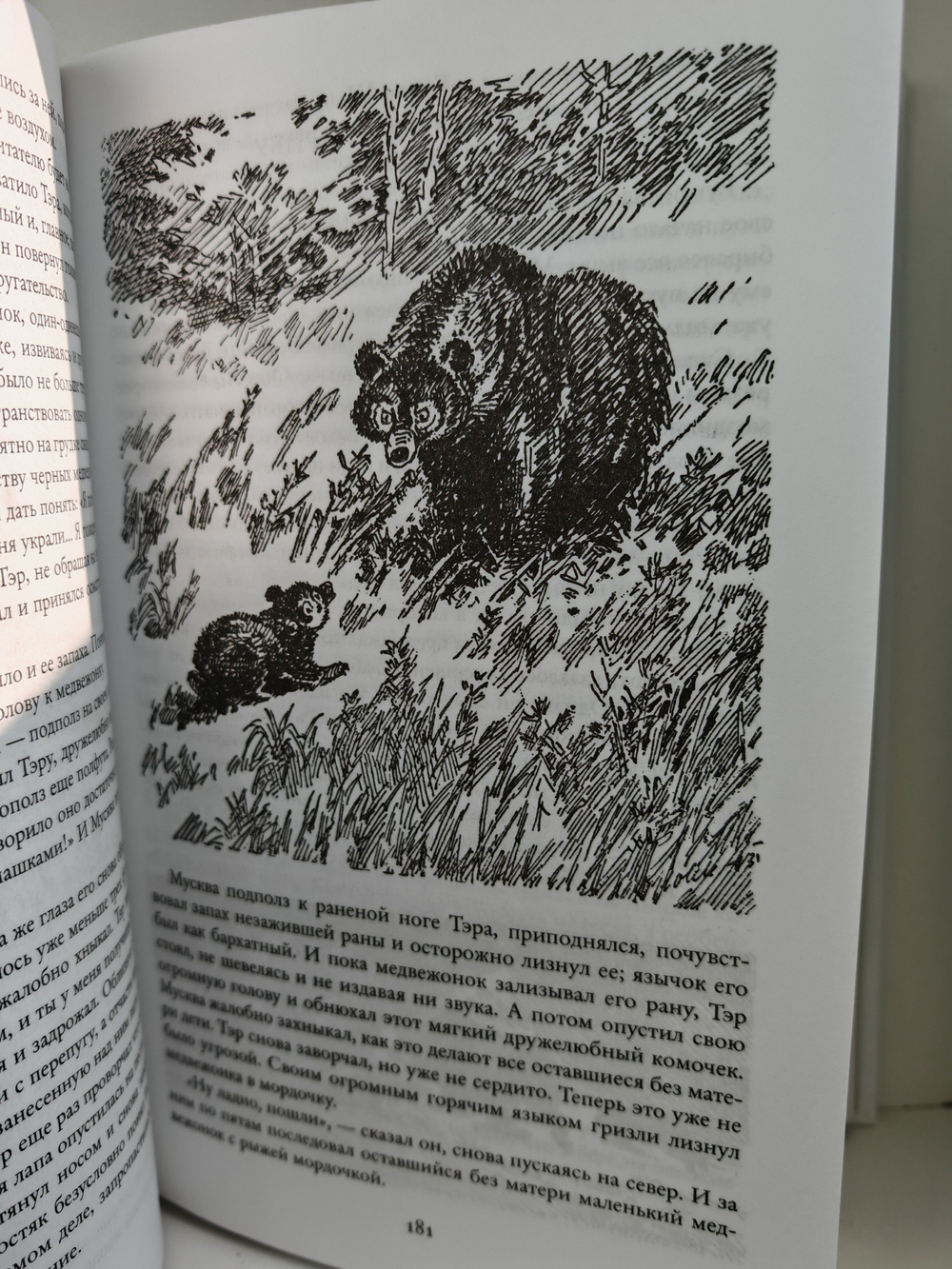 Бродяги Севера