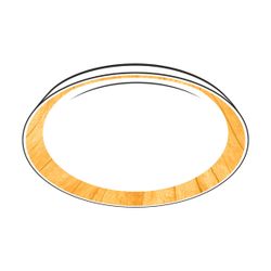 Citilux MEGA CL752452G LED RGB Светильник с пультом Белый+Клён