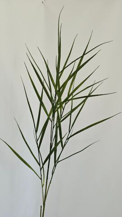 Осока высокая темная / Арт 5122