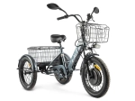 Электровелосипед GREEN CITY e-ALFA Trike (синий)
