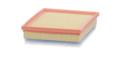 MANN-FILTER - C24036-MNF - Air Filter