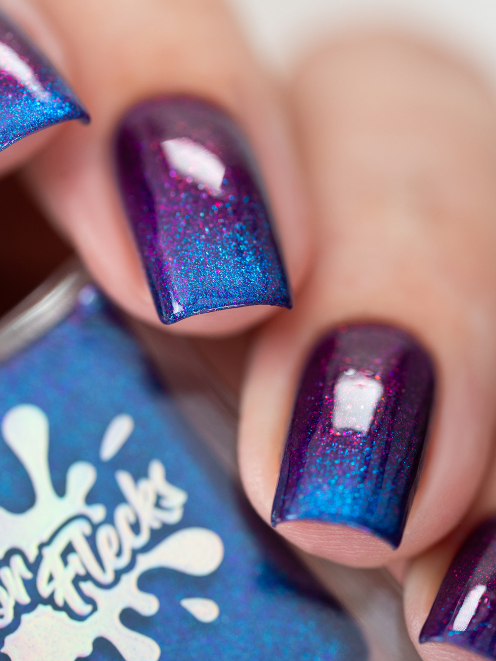 Blue Poison Arrow Frog