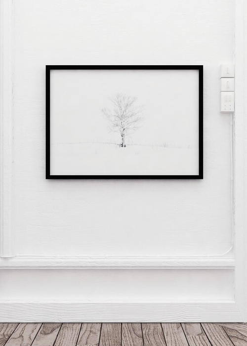 Интерьерная картина в технике цифровой печати. АРТ 022 Черное и белое