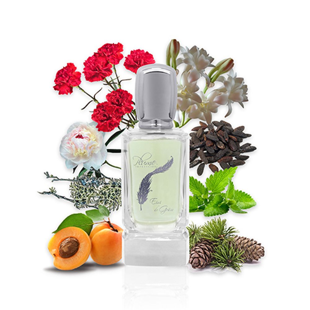 Plume Impression Etat de Grace