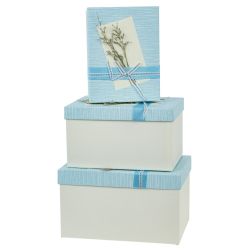 GAEM Набор из 3-х коробок подарочных, L19 W26 H15 см, 2в.