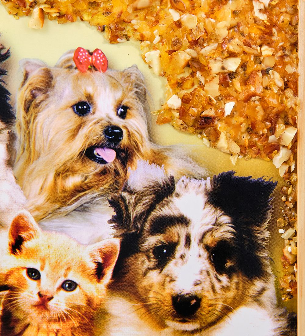 AMB-51/51 Картина «Дружная семейка кошек и собак» (с янтарной крошкой) дер.рамка 21х30