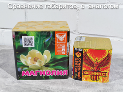 Магнолия 0,8" х 25 залпов,1/12, шт