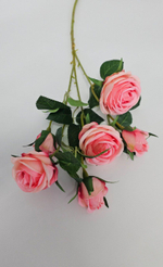 Роза кустовая / Арт 2274