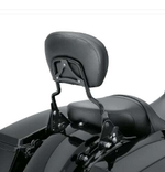 52300258 ДУГА СПИНКИ ПАССАЖИРА TOURING