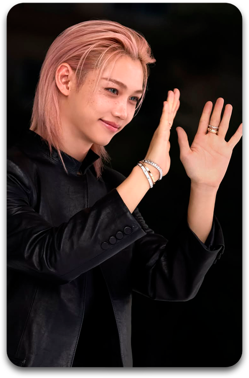 Карта / STRAY KIDS #4628