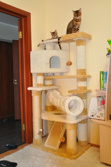 Домик для кота И-18