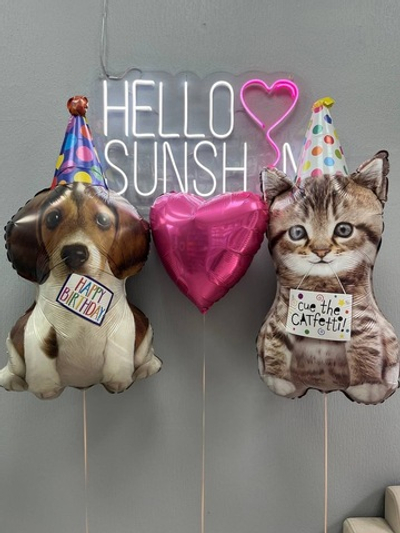 Набор шаров Котенок и Собачка