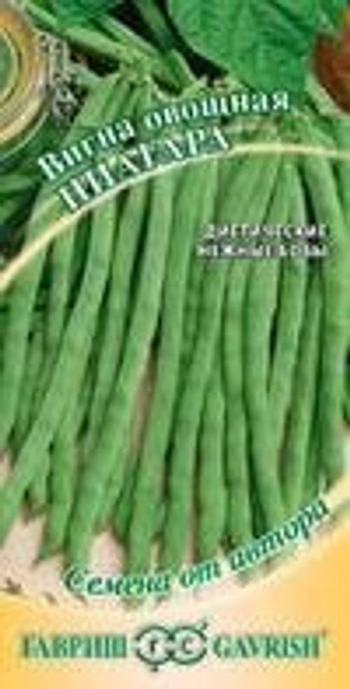 Вигна Ниагара