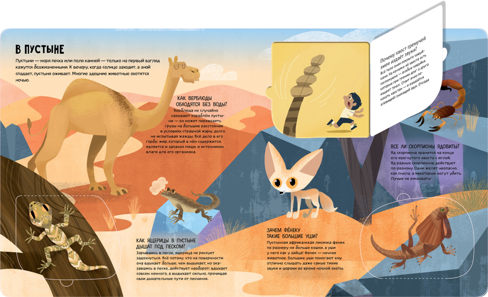 Энциклопедия почемучки. Книжка с окошками. Животные мира