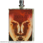 The Beautiful Mind Series Intelligence & Fantasy