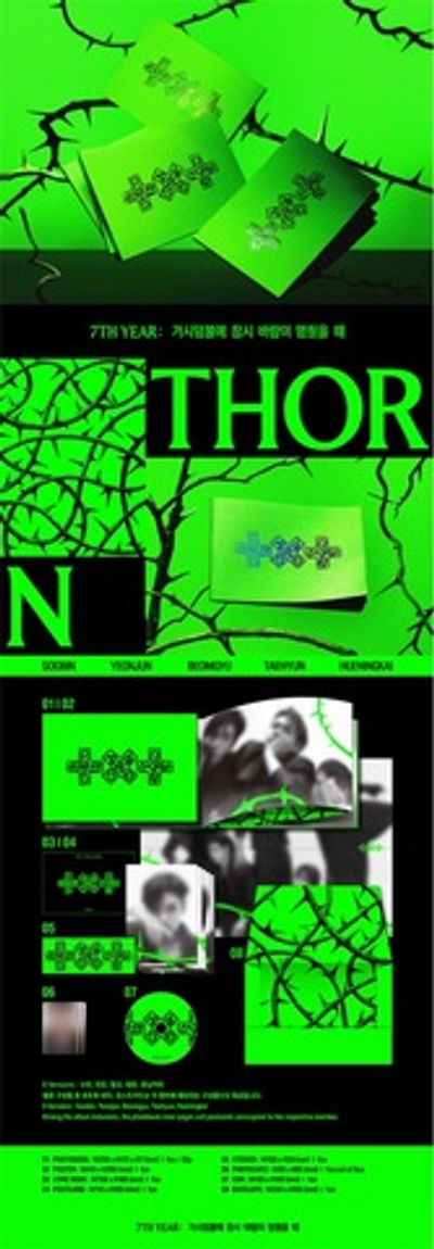 Альбом TXT - 7TH YEAR: A Moment of Stillness in the Thorns (THORN Ver.)