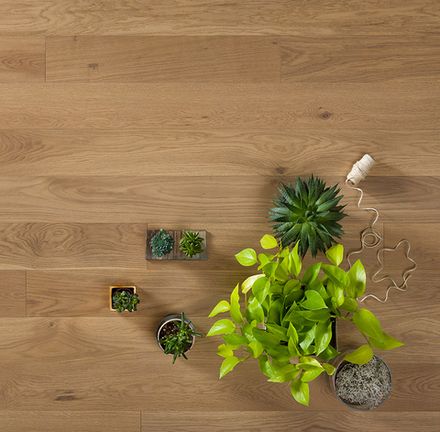 Инженерный паркет Coswick Дуб Сиена Натуральная (Raw Sienna) Шелковое масло ультраматовое