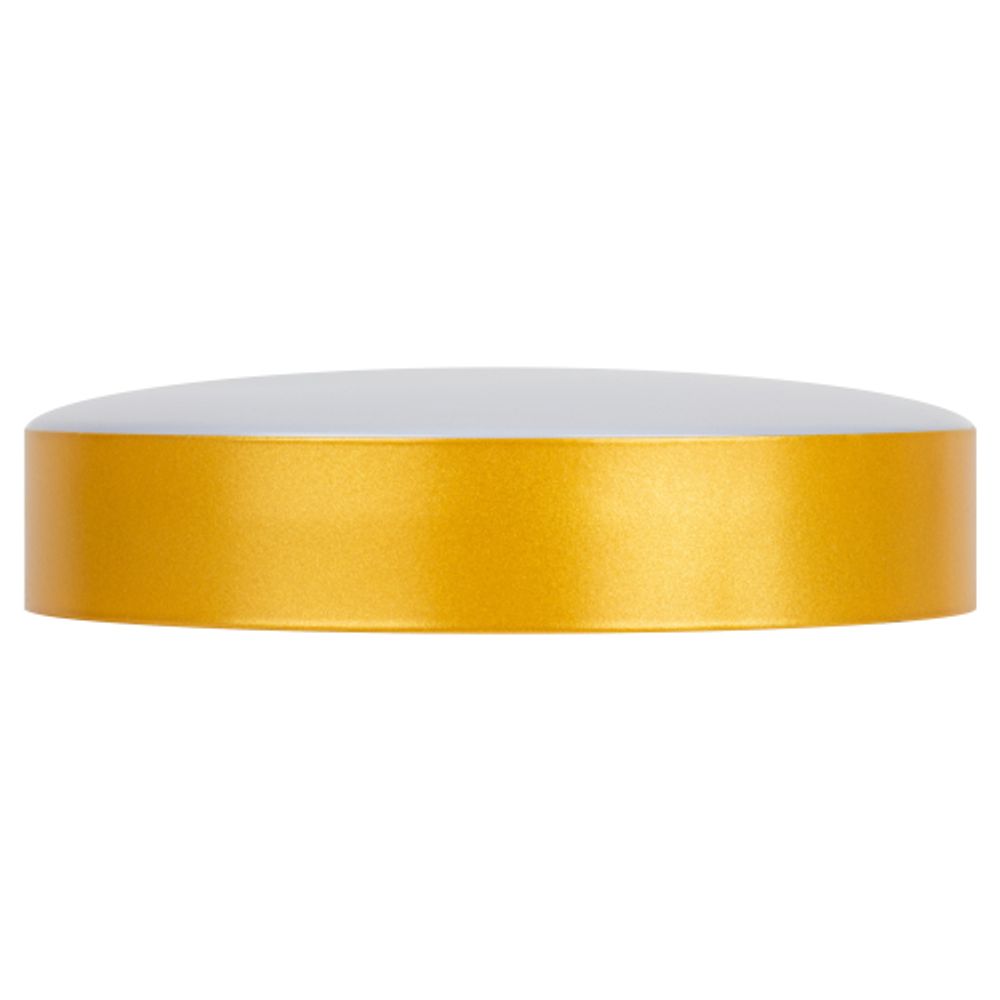 Светильник потолочный светодиодный ЭРА Классик без ДУ Relict 22 SPB-6-20 4К MG 20W 4000K Золото | Светильники SPB-6 без ДУ