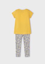 футболка с леггинсами