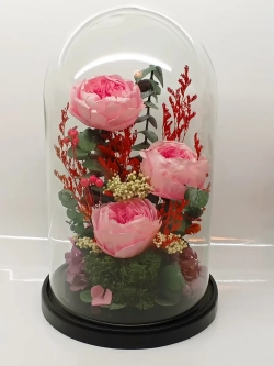 натуральные пионы в стекле