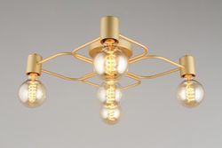 Потолочная люстра Aployt Elison APL.911.07.05