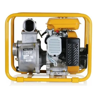 Мотопомпы Robin-Subaru PTG 310ST - фото 1