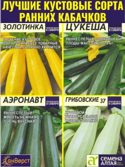 Семена кабачков. Набор кустовых ранних сортов