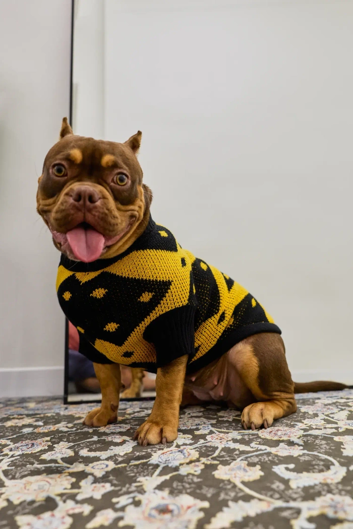 Для собачки