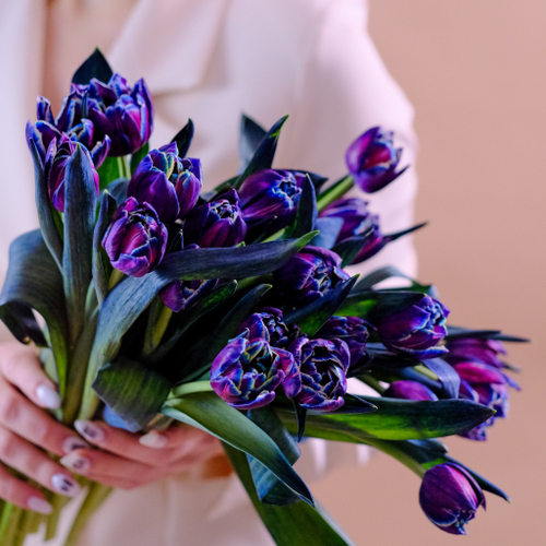 Купить Букет 35 пионовидных тюльпанов Columbus Color #811_1